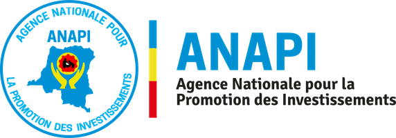 Logo de ANAPI